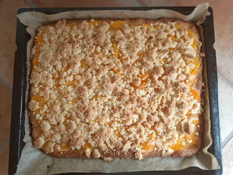 Kindheit leben und auf das normale Leben vorbereitet werden